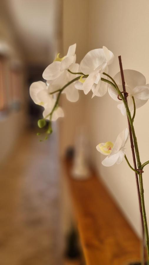 Casa Vacanze Giulia ジャッレ エクステリア 写真